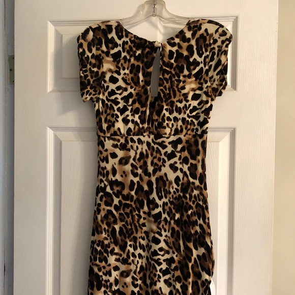 Cache animal print dress - Picture 4 of 5